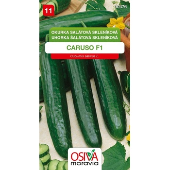 Okurka salátová Caruso F1