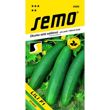 Okurka salátová LILI F1