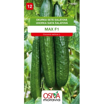 Okurka salátová Max F1