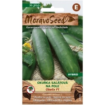 Okurka salátová OBELIX F1