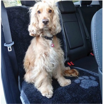 Pet Rebellion Ochranný potah na sedadlo 57 x 140 cm