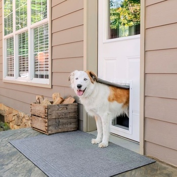 PetSafe Extreme Weather Door L šedá 34,1 x 50,8 x 8,3 cm