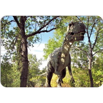 PokojovaDekorace.cz prostírání 046 Dinosaurus 43x30cm
