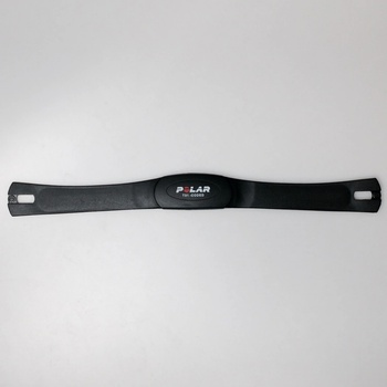 Polar T31C