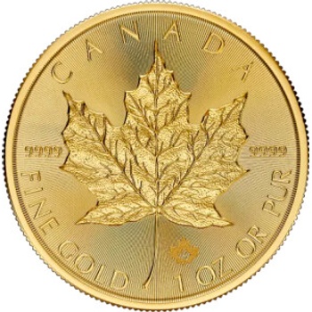 Royal Canadian Mint Maple Zlatá mince 50 CAD Leaf stand 2024 1 oz