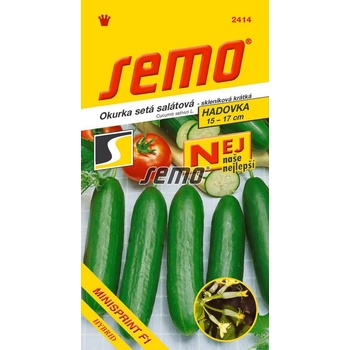 Semo Minisprint F1 okurka salátová