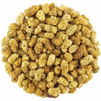 Svět plodů Moruše sušená 500 g