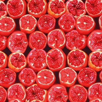 Teplákovina nepočesaná, granátová jablka, š.165