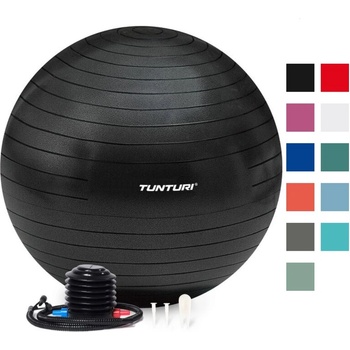 TUNTURI GymBall s pumpičkou 65 cm