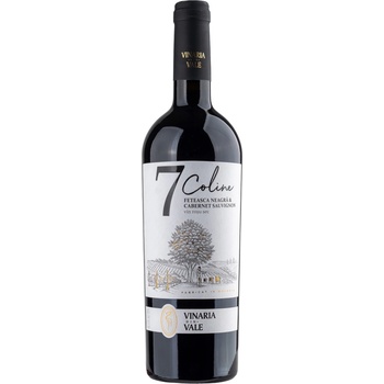 Vinaria Din Vale Feteasca Neagra Cabernet S. Suché červené 2018 13,72% 0,75 l (holá láhev)