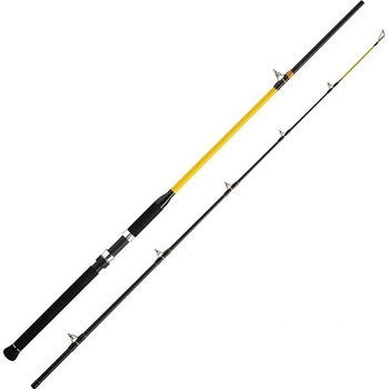 WFT Never Crack CATFISH BOAT LTC 3 m 250-1000 g 2 díly