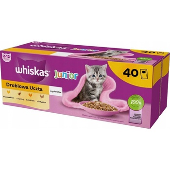 Whiskas Junior Drůbeží hody s kuřecím kachním drůbežím a krůtím v želé 40 x 85 g