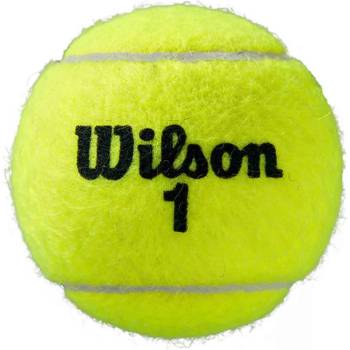 Wilson Roland Garros All Court 4 ks