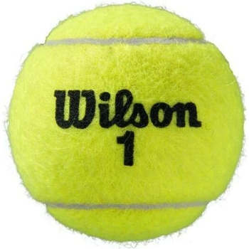 Wilson Roland Garros Clay 4 ks