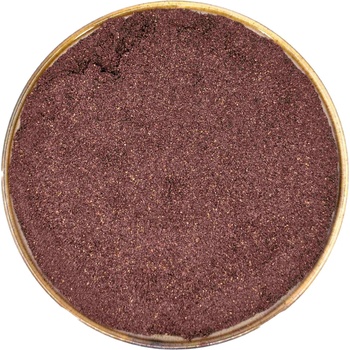 Zdravoslav Borůvky lyofilizované PRÁŠEK 100 g