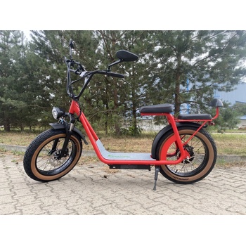 EcoWheel RETRUS 1000W 16Ah