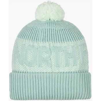 The North Face Retro Cabin Muted Pine/Pale Green