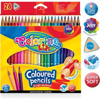 Colorino R51828 PTR 24 ks