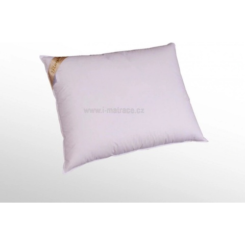 2G Péřový polštář Regina 700g 70x50
