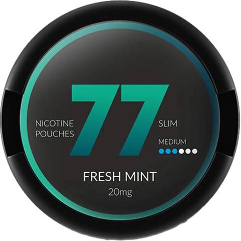 77 Pouches Fresh Mint 10 mg 20 sáčků